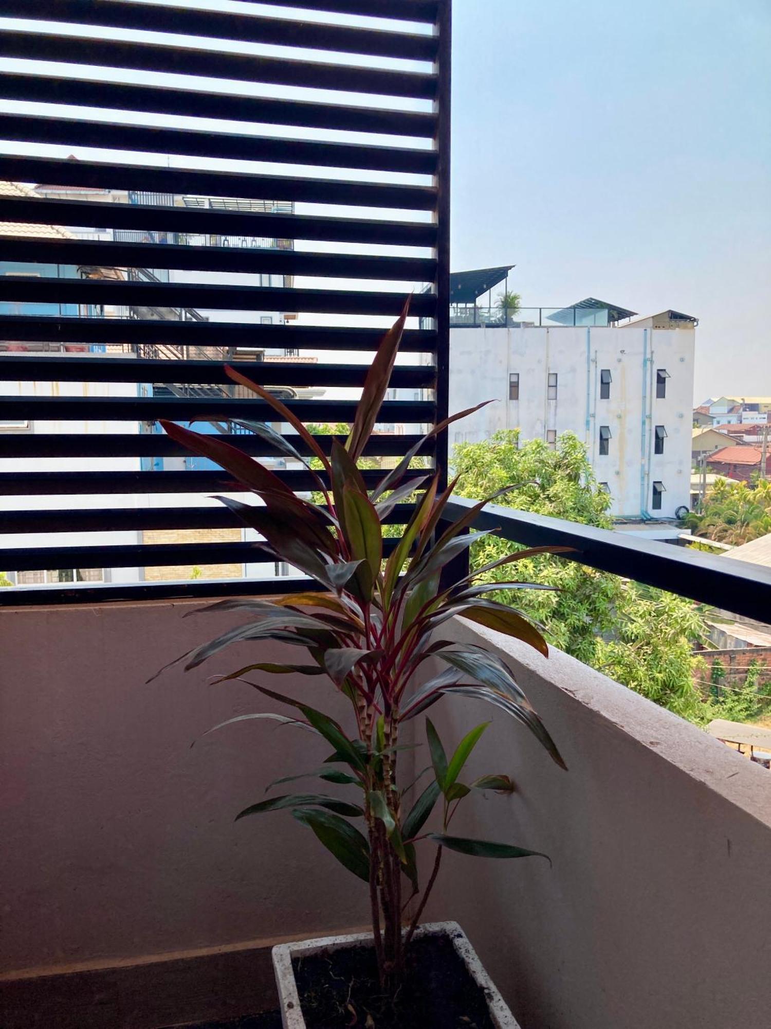 Lotus Haven Villa 시엠리아프 외부 사진